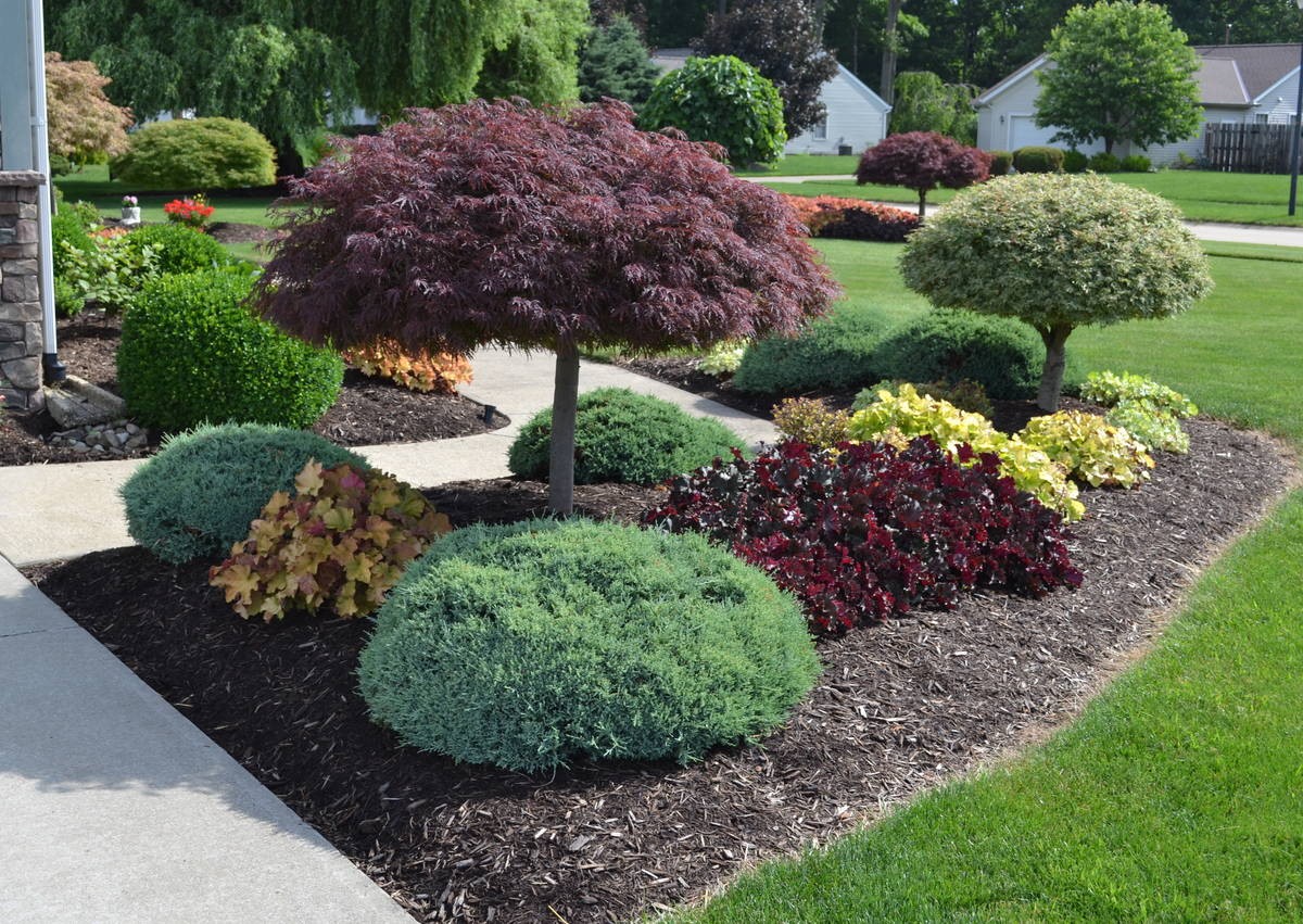 Landscape Design Albany Landscaping Company Elite Property Care